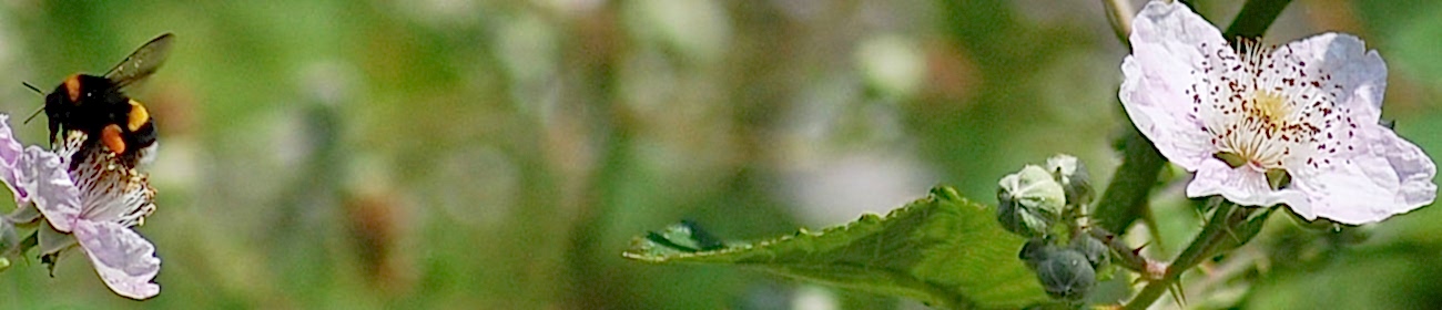 Sustainability hub
