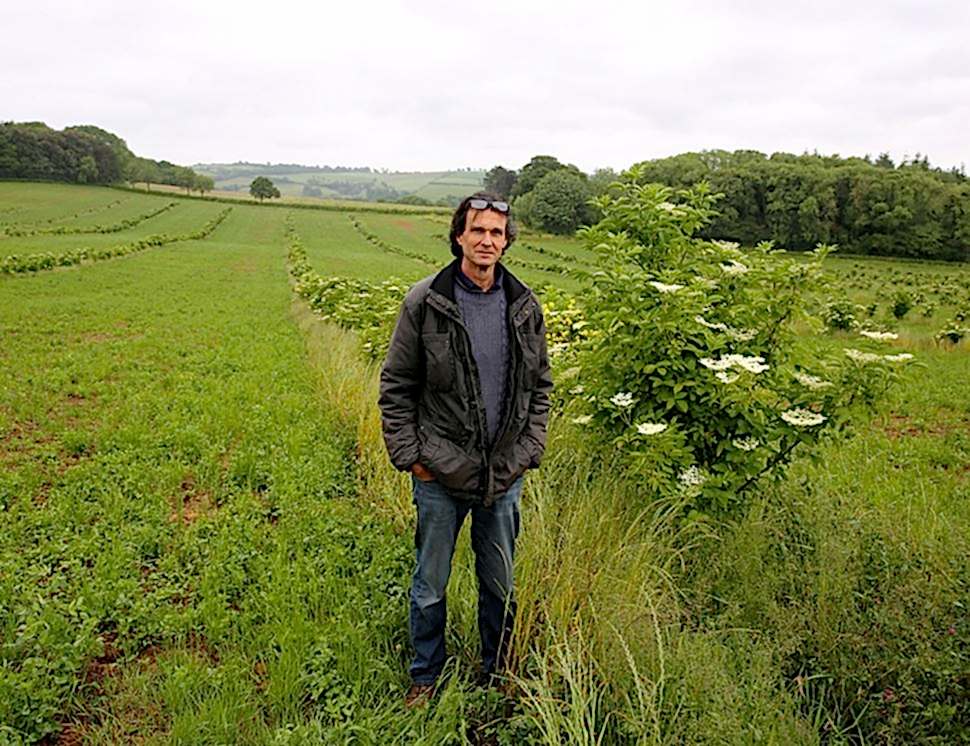 Luscombe