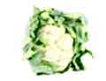 Cauliflower