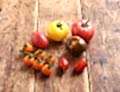 English Mixed Heirloom Tomatoes (500g)