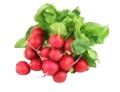 Bunched Radish