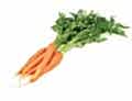 Bunched Carrots