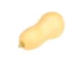 Butternut Squash