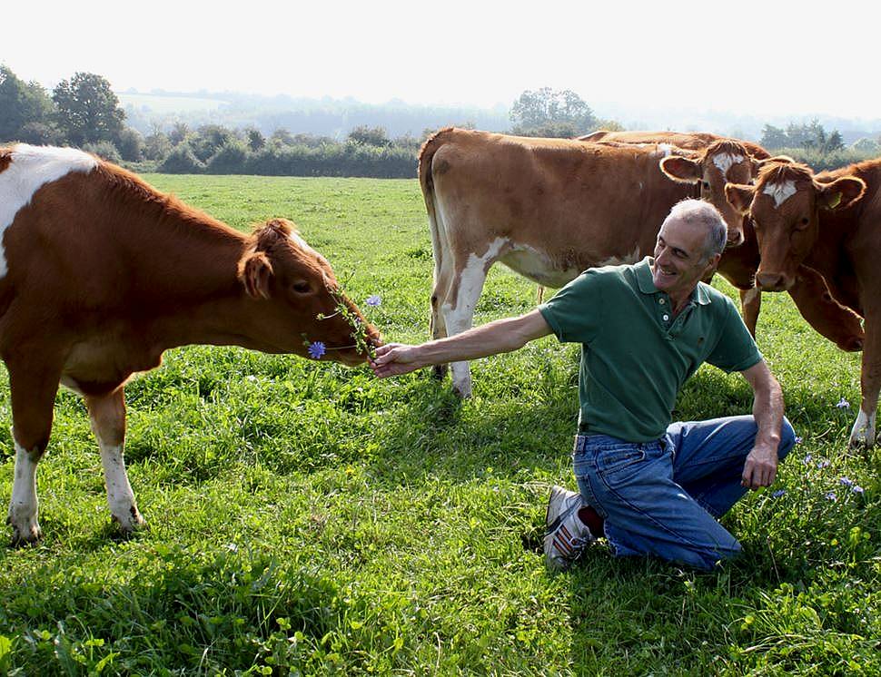 Berkeley Farm Dairy