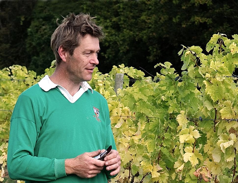 Davenport Vineyard