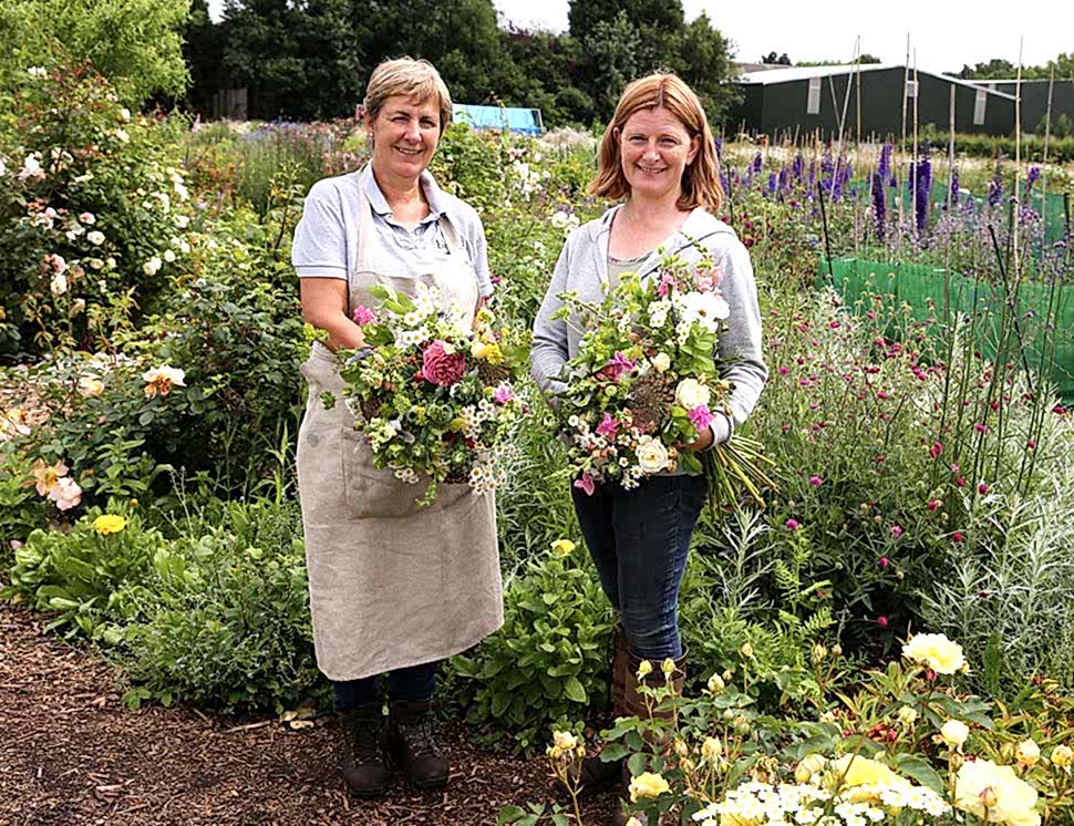 Organic Blooms