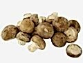 Chestnut Mushrooms