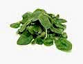 Baby Leaf Spinach