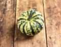 Harlequin Squash