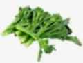 Tenderstem Broccoli