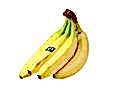 Fairtrade Bananas