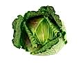 January King Cabbage