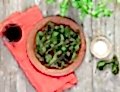 Padron Peppers