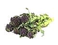 Purple Sprouting Broccoli