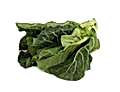 Spring Greens
