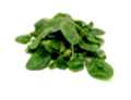 Baby Spinach